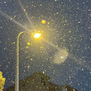 Our street light working well in cold weather